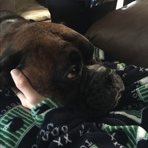 Meet your Posher, Alayna